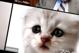 Error en Zoom convierte a abogado en “gatito” durante audiencia judicial