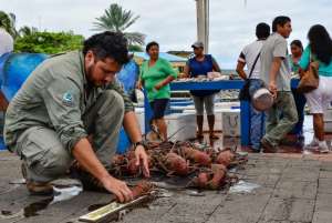 Guardaparques del Parque Nacional Gal&aacute;pagos hacen los controles.