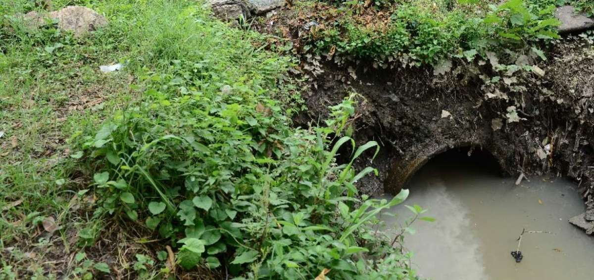 El sistema municipal de alcantarillado en Flor de Basti&oacute;n se extiende hasta el Bosque Protector la Prosperina.