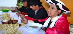 La alimentaci&oacute;n en Saraguro tiene como ingrediente principal el ma&iacute;z; con el grano se elaboran tortillas, champ&uacute;s, tamales y humitas. 
