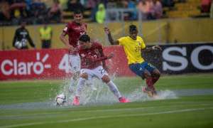 Foto: Marco Salgado / EL TEL&Eacute;GRAFO