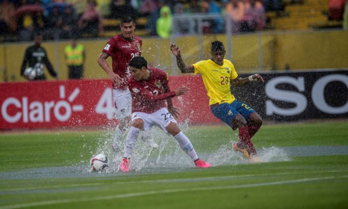 Foto: Marco Salgado / EL TEL&Eacute;GRAFO