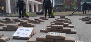 La droga estaba en paquetes tipo ladrillo con el logo X19. El peso bruto (con todo y empaque) era de 350 kilos; el peso neto qued&oacute; en 298 kilos.
