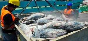 La exoneraci&oacute;n del arancel recae en el at&uacute;n crudo proveniente de Colombia, Per&uacute;, Costa Rica, El Salvador, Guatemala, Honduras, Nicaragua y Panam&aacute;.