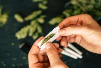 Argentina habilita su primer centro para producir cannabis medicinal