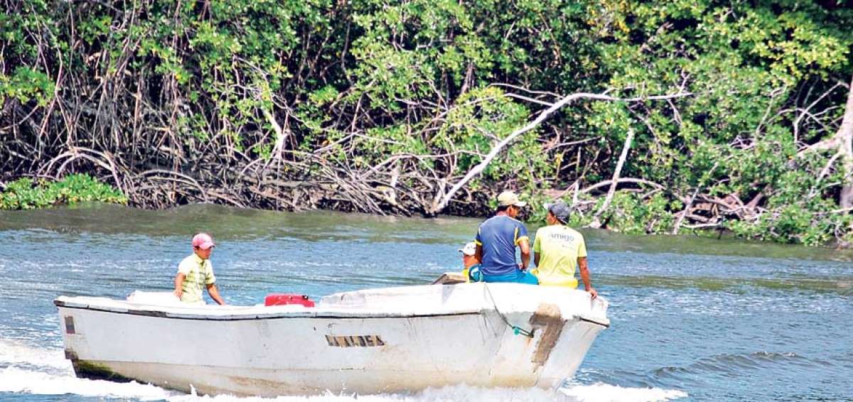 La decisi&oacute;n del Ministerio del Ambiente garantiza la pesca de los habitantes de los sectores aleda&ntilde;os, adem&aacute;s convierte a la reserva en una barrera natural.