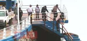 El lobo marino fue hallado en el muelle de carga de Santa Cruz.