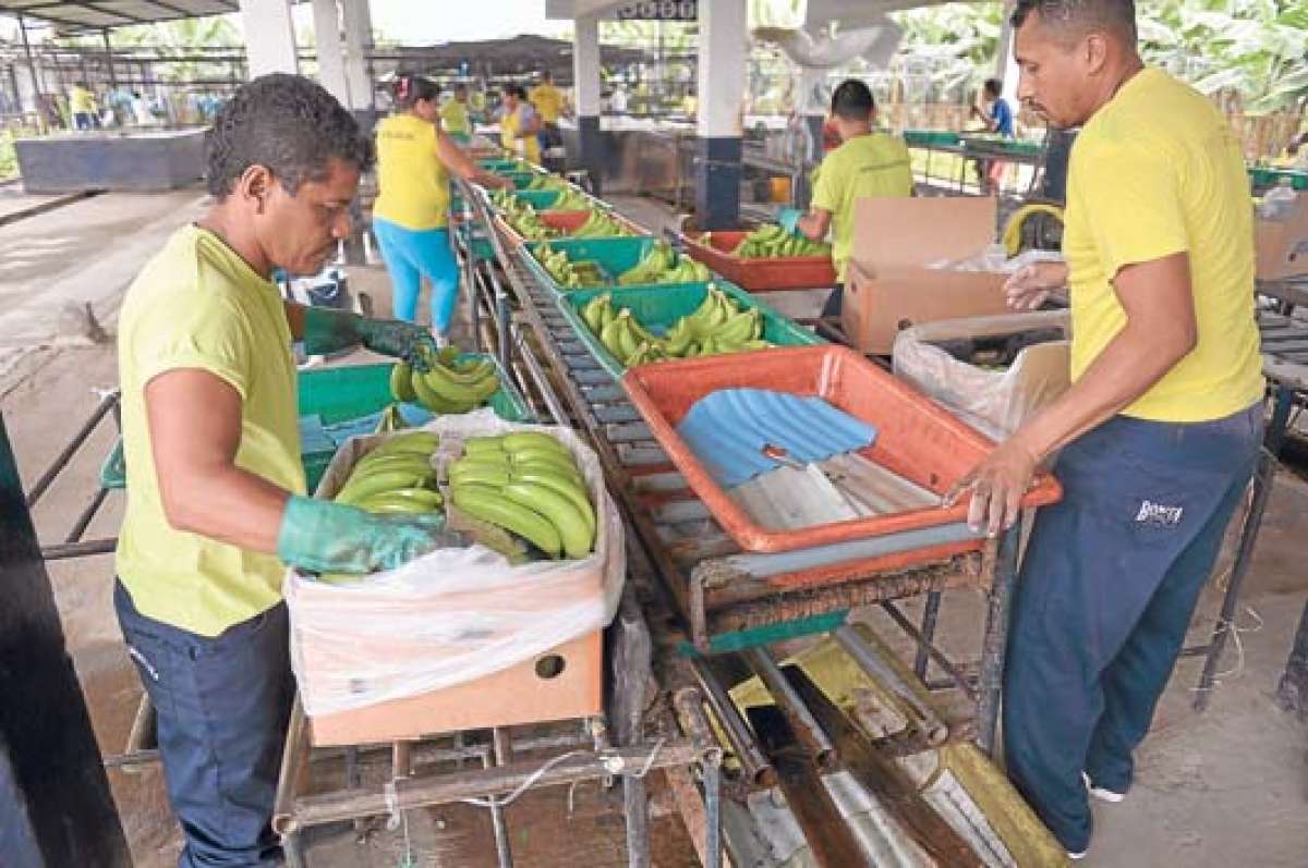 Los decimotercero y decimocuarto sueldos se pagan a los empleados tradicionalmente para cubrir gastos en Navidad y en el per&iacute;odo escolar. Foto: Karly Torres