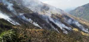 Miembros del Cuerpo de Bomberos y militares han trabajado en Azuay sofocando los incendios forestales.