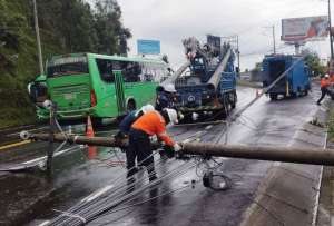 Empresa Eléctrica brindó asistencia tras percance con postes de luz