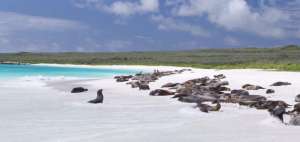 Ecuador, por las islas Gal&aacute;pagos, tambi&eacute;n tiene l&iacute;mites mar&iacute;timos con Costa Rica.