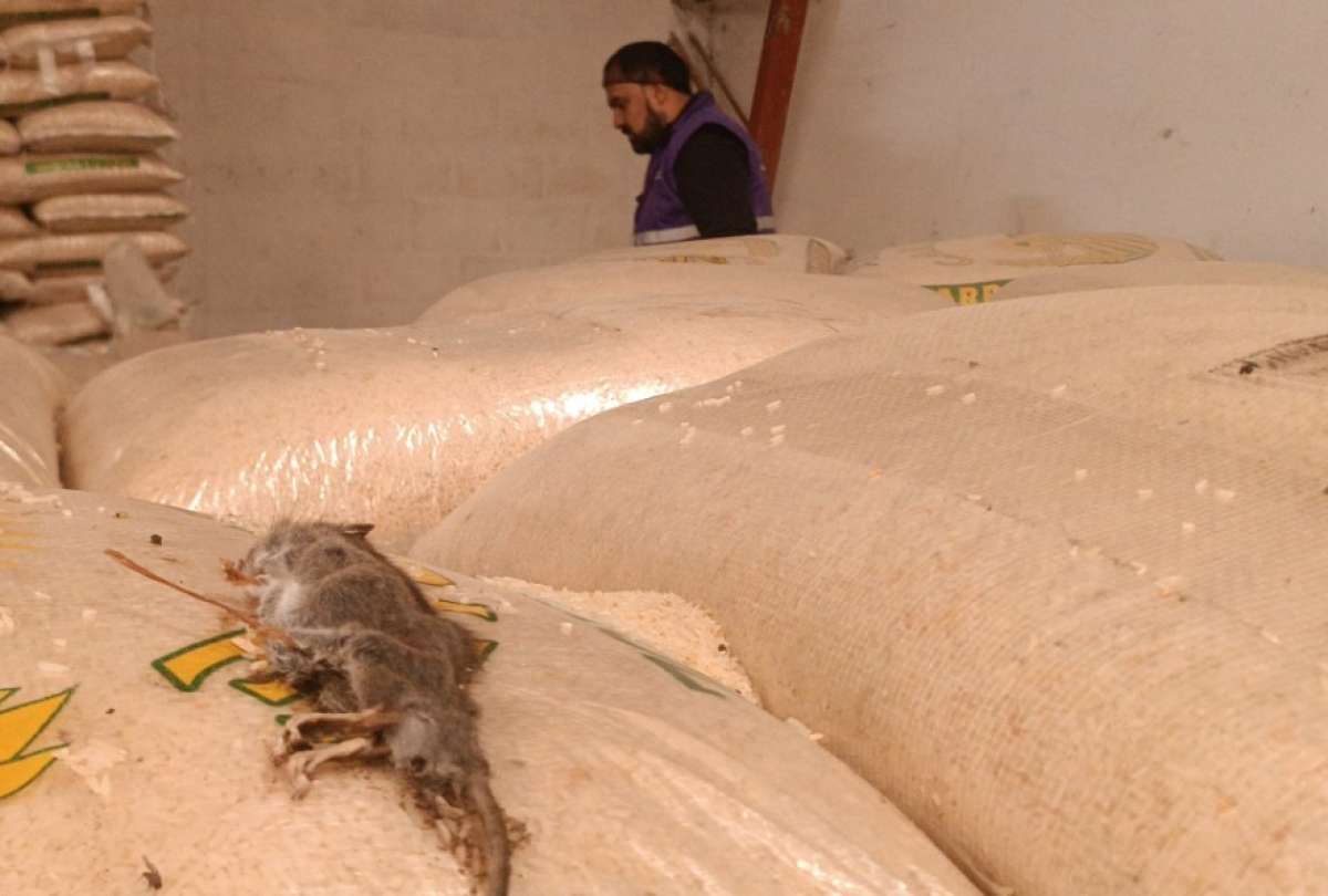 Arcsa clausuró una envasadora de alimentos en Cuenca