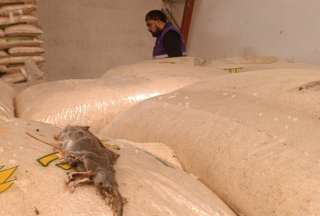 Arcsa clausuró una envasadora de alimentos en Cuenca