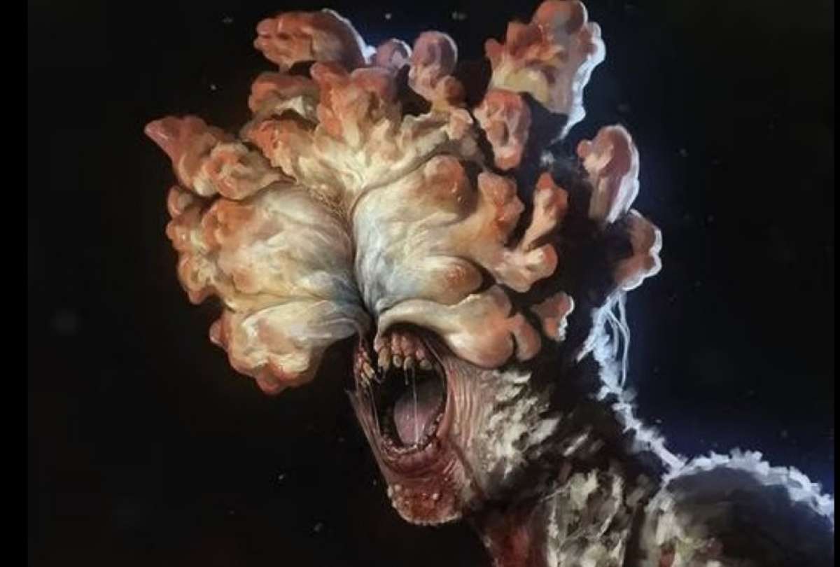 ¿El hongo de la serie The Last of Us puede contagiar a los humanos?