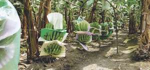 El sector agropecuario se beneficiar&aacute; con un r&eacute;gimen simplificado de Impuesto a la Renta.