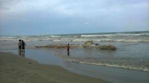 Una ballena jorobada de aproximadamente 16 metros var&oacute; en la costa de San Vicente. La misma iba a ser enterrada ayer. 