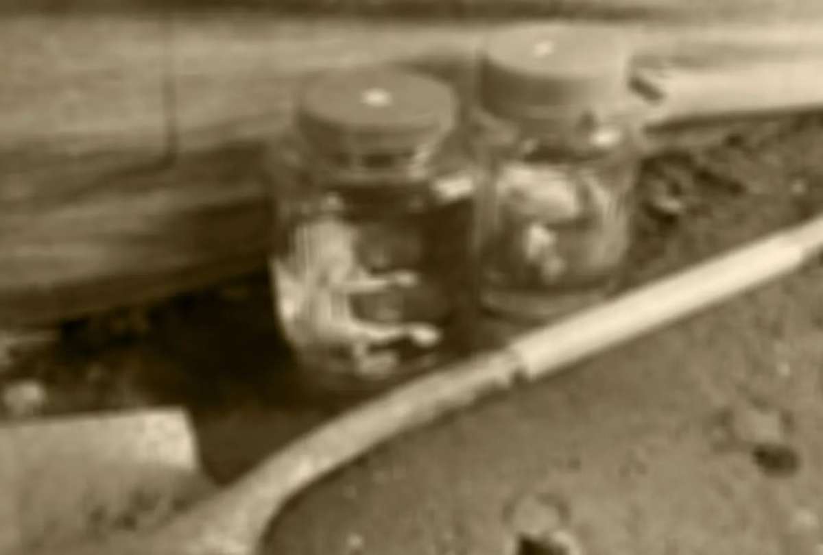 La Fiscal&iacute;a asumi&oacute; la investigaci&oacute;n y ordenar&aacute; pericias forenses para esclarecer el origen de los restos humanos.