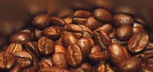 La altura, clima y calidad del suelo de la zona noroccidental de Pichincha producen granos de caf&eacute; y cacao de gran aceptaci&oacute;n en los mercados.