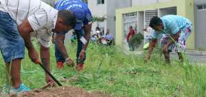 Comunidad de Socio Vivienda realiz&oacute; minga