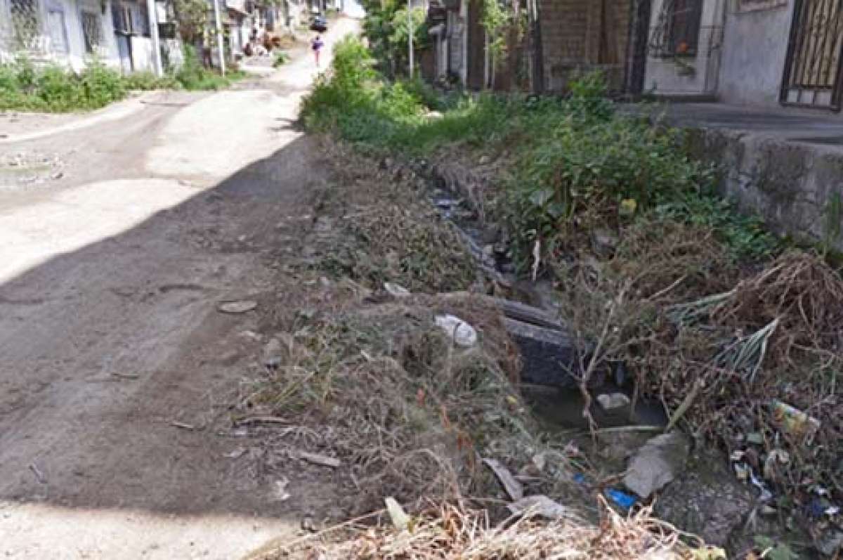 Las llantas abandonadas, en calles sin pavimentar de Para&iacute;so de la Flor, causan la  aparici&oacute;n de mosquitos transmisores de enfermedades. Foto: Karly Torres | El  Telegrafo