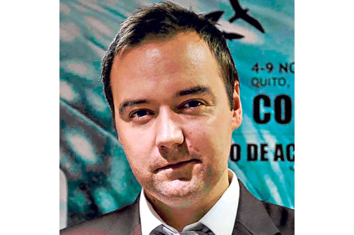 Los tiburones, vitales para el ecosistema