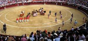 Bogot&aacute; har&aacute; en agosto consulta sobre corridas de toros
