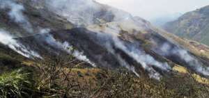 144 hect&aacute;reas se han quemado en Cotopaxi