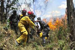 En un solo d&iacute;a se registraron 8 incendios forestales en la capital. Foto: Fernando Sandoval. 