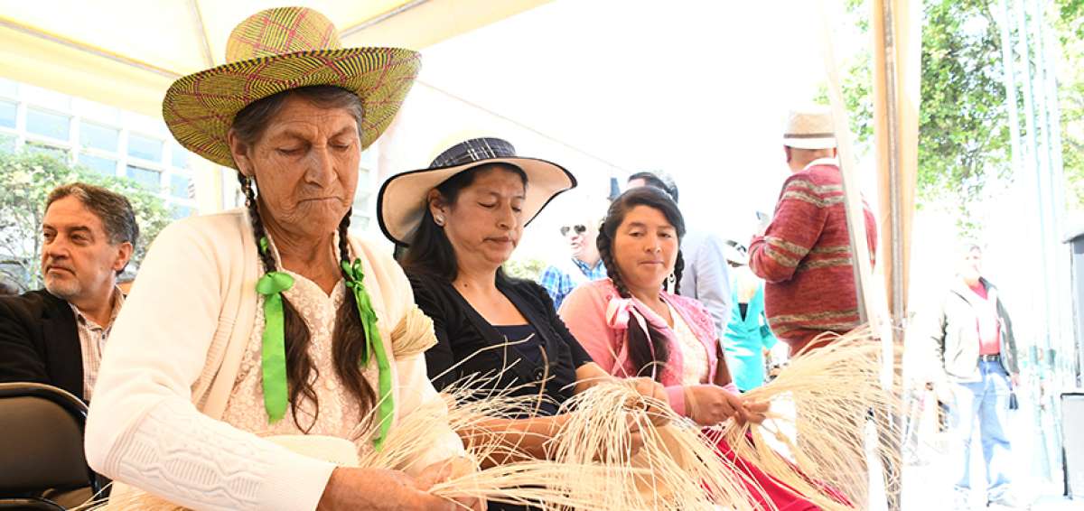 Las grandes producciones de sombreros tejidos con paja toquilla se concentran en Azuay, Ca&ntilde;ar, Manab&iacute; y Santa Elena.