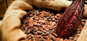 Cacaoteros esperan que los precios del producto mejoren en estos d&iacute;as