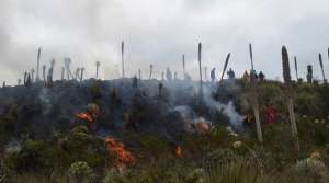 En Carchi se controlaron incendios cr&iacute;ticos, pero aparecen nuevos focos