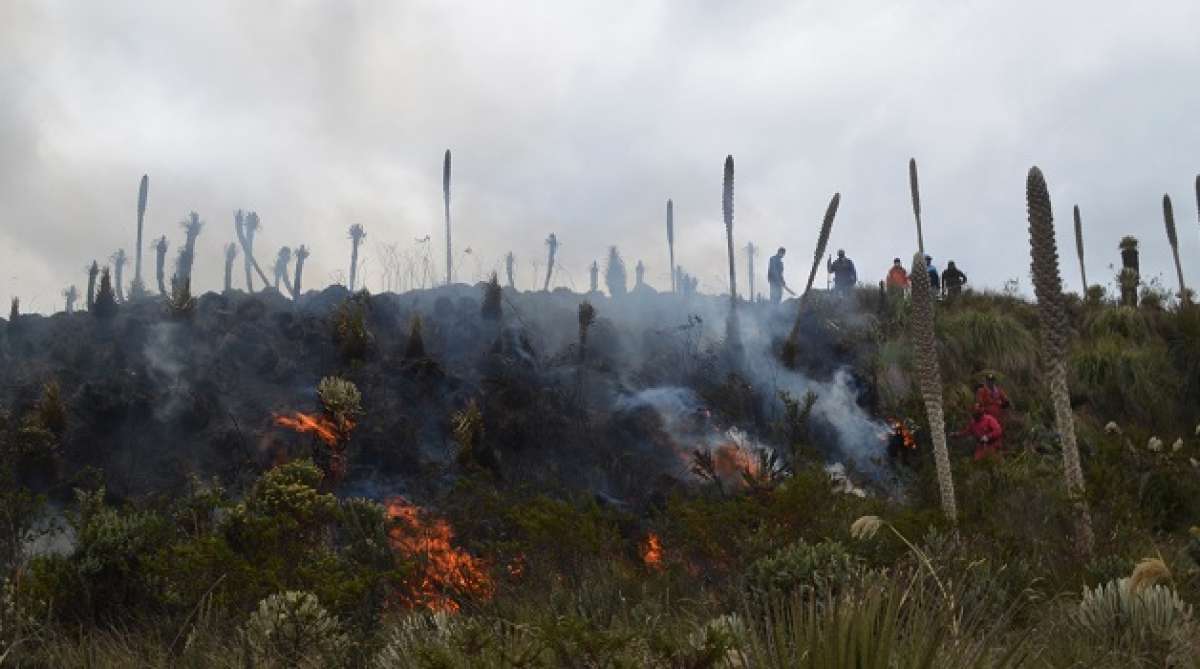 En Carchi se controlaron incendios cr&iacute;ticos, pero aparecen nuevos focos