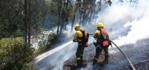 Agentes combaten el incendio, registrado este mi&eacute;rcoles.