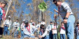 La reforestaci&oacute;n es una de las actividades con las que podemos contribuir a mejorar el medio ambiente. Foto: Archivo/ El Tel&eacute;grafo