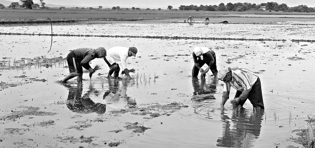 Agrocalidad tiene como objetivo incrementar la cantidad de productores certificados con Buenas Pr&aacute;cticas Agropecuarias a escala nacional.&nbsp;