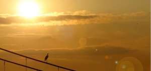 Inamhi desestima alerta de ola de calor emitida por la OPS