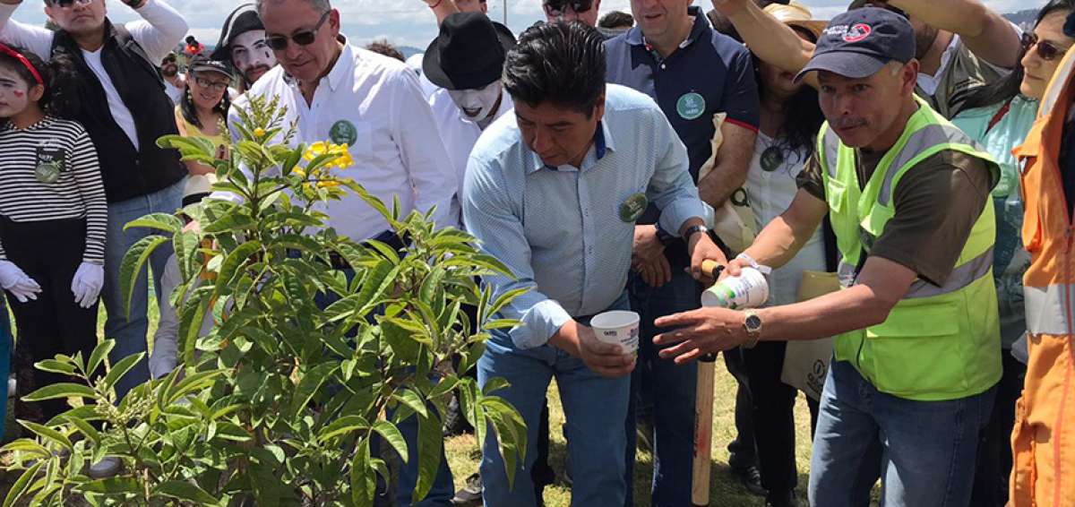 Quite&ntilde;os siembran 6.500 &aacute;rboles en iniciativa ambiental