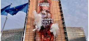 Greenpeace denuncia la destrucci&oacute;n de la Amazon&iacute;a