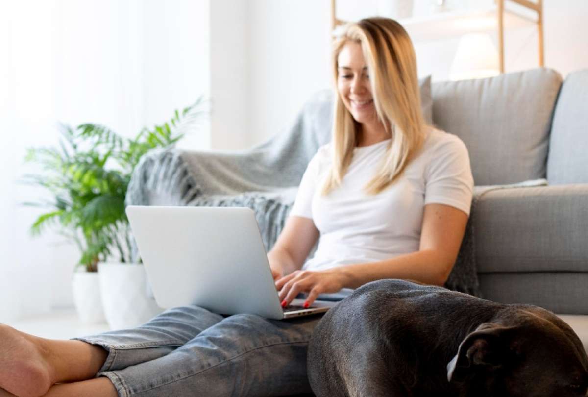 El house sitting permite alojarse gratis en Irlanda a cambio de cuidar casas y mascotas.