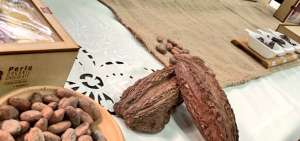 Quito es sede de la charla del cacao y chocolate