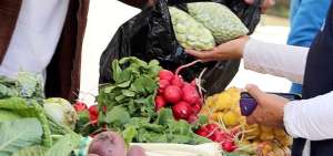 La tienda campesina es una forma de circuito alternativos de comercializaci&oacute;n