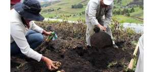 Organismos apoyan actualizaci&oacute;n de la pol&iacute;tica agropecuaria de Ecuador