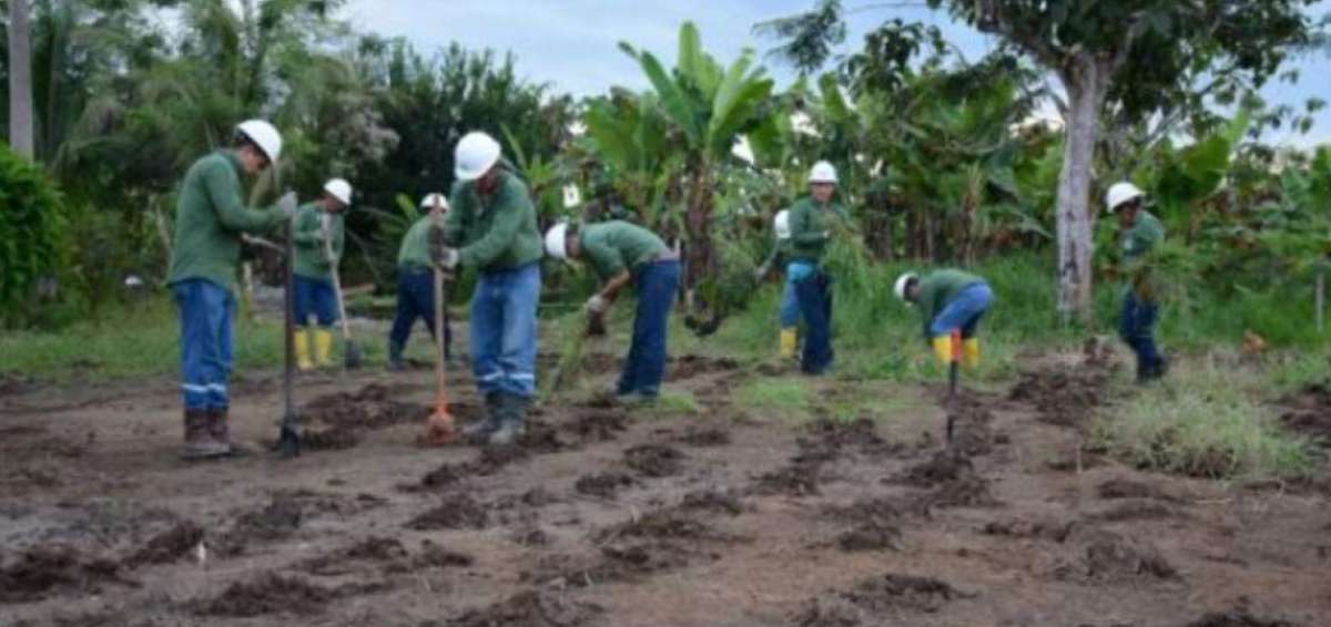 Petroamazonas se fija como meta la remediaci&oacute;n de 350 mil metros c&uacute;bicos de suelo en 12 meses