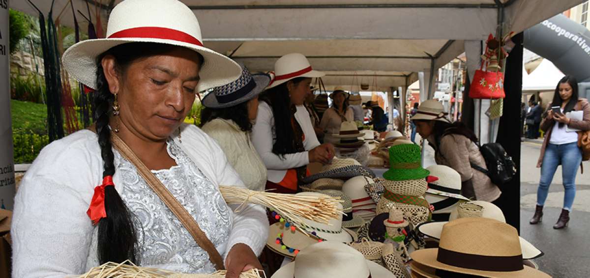 Elaborar art&iacute;culos de paja toquilla se ha convertido en la primera fuente de trabajo de las comunidades en el cant&oacute;n ca&ntilde;arejo de Bibli&aacute;n.