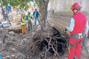 T&eacute;cnicos de la Secretar&iacute;a de Ambiente del Municipio de Quito se encargaron de desplazar el &aacute;rbol, conservando sus ra&iacute;ces m&aacute;s peque&ntilde;as. Foto: Fernando Sandoval / El Tel&eacute;grafo
