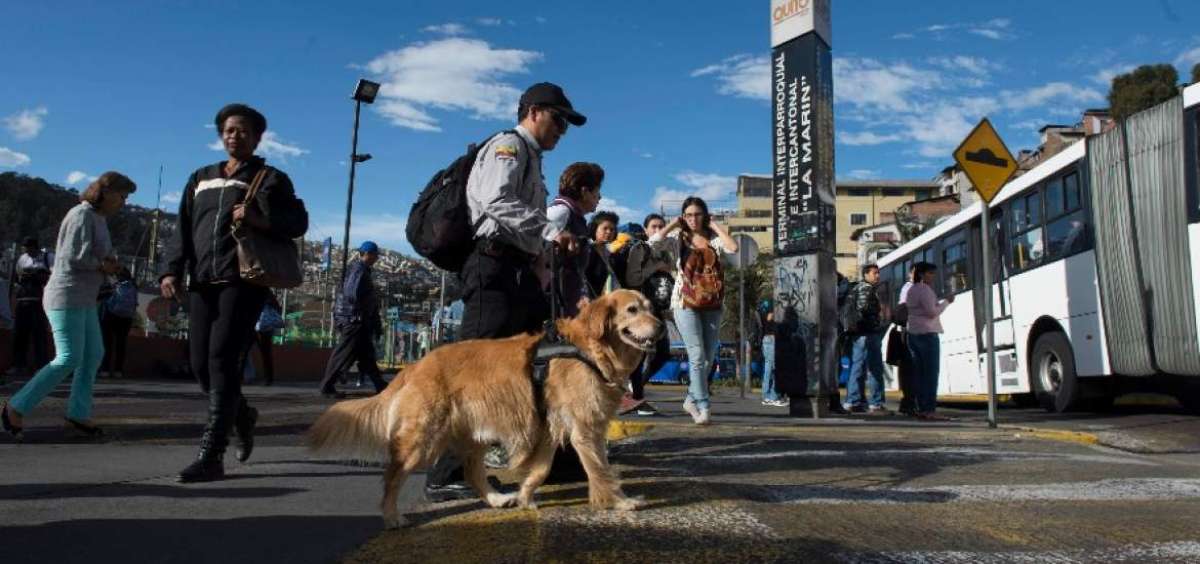 Hern&aacute;n Pichucho; Camila, su perra lazarillo; y Gladys (su madre) caminan con precauci&oacute;n por el sector del Play&oacute;n de La Mar&iacute;n, en el centro de Quito.