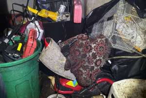 Armas de fuego, droga y motocicletas reportadas como robadas se incautaron en el operativo.