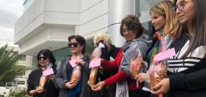 Entregan guaguas gestantes en la Corte Constitucional