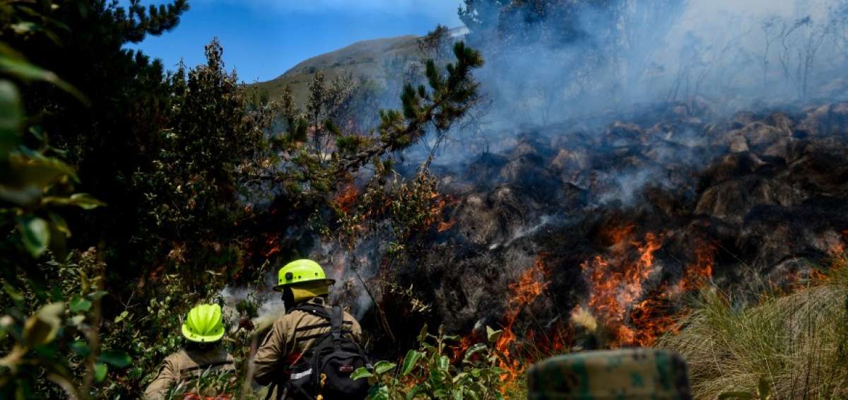 El incendio se desarroll&oacute; a 4.114 metros (13.500 pies) de altura, en una zona de pajonales de terreno irregular con fuertes vientos y bajas temperaturas.