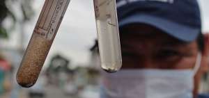 El mosquito aedes aegypti transmite enfermedades como dengue, zika y chikungunya.
